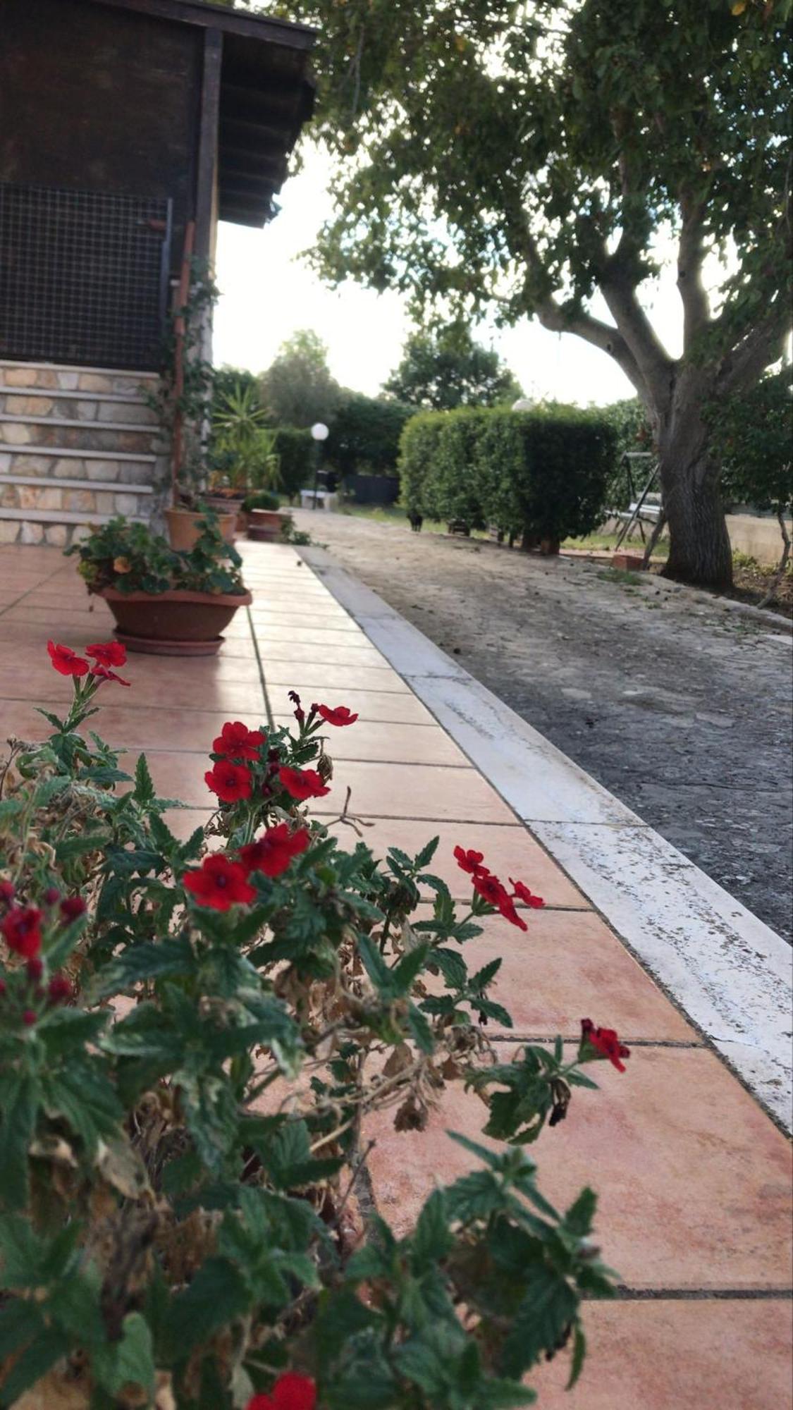 Villa Marida Gioia Del Colle Eksteriør billede