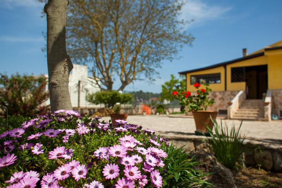 Villa Marida Gioia Del Colle Eksteriør billede